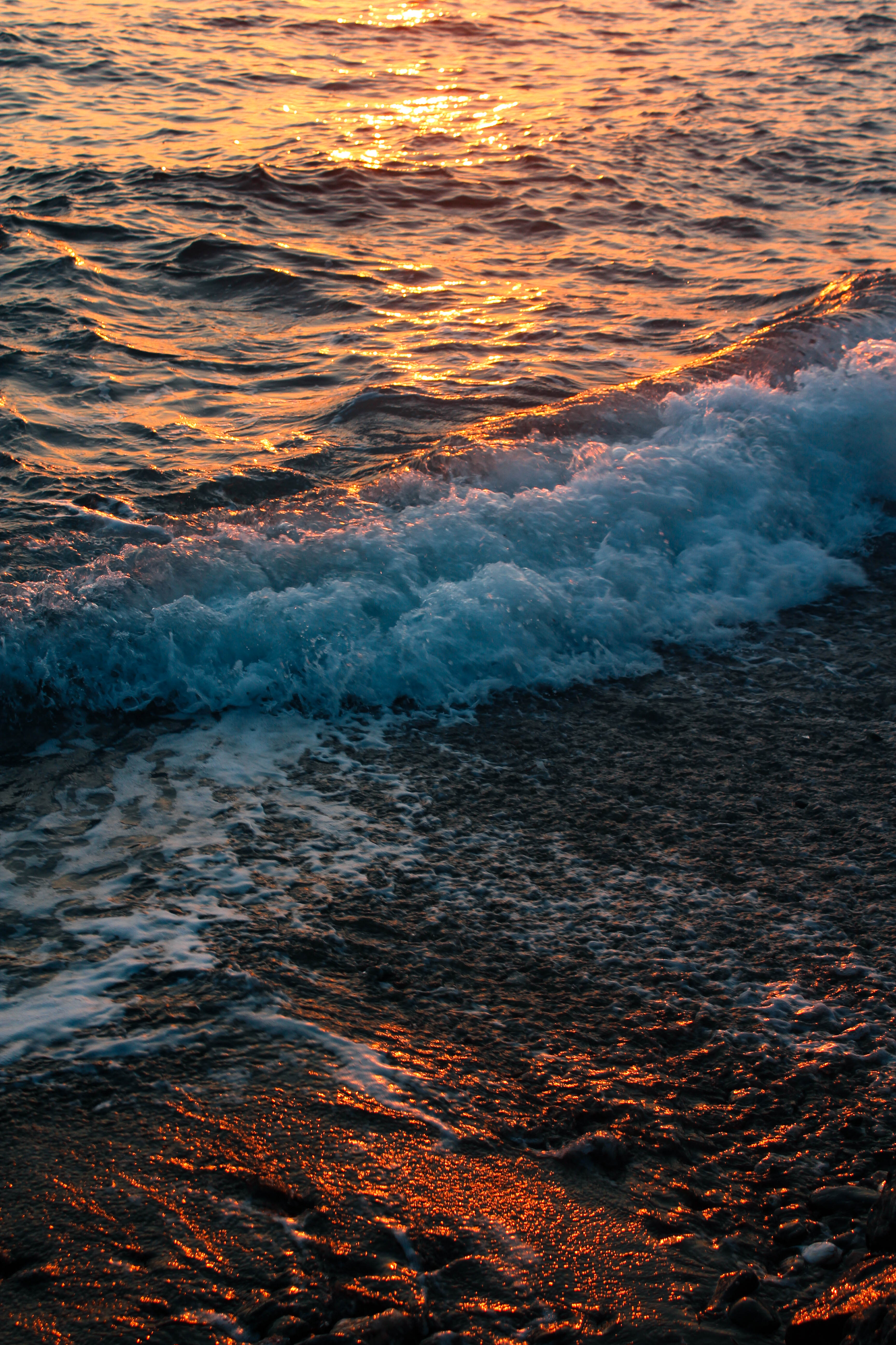 Cover for Le Bruit Des Vagues