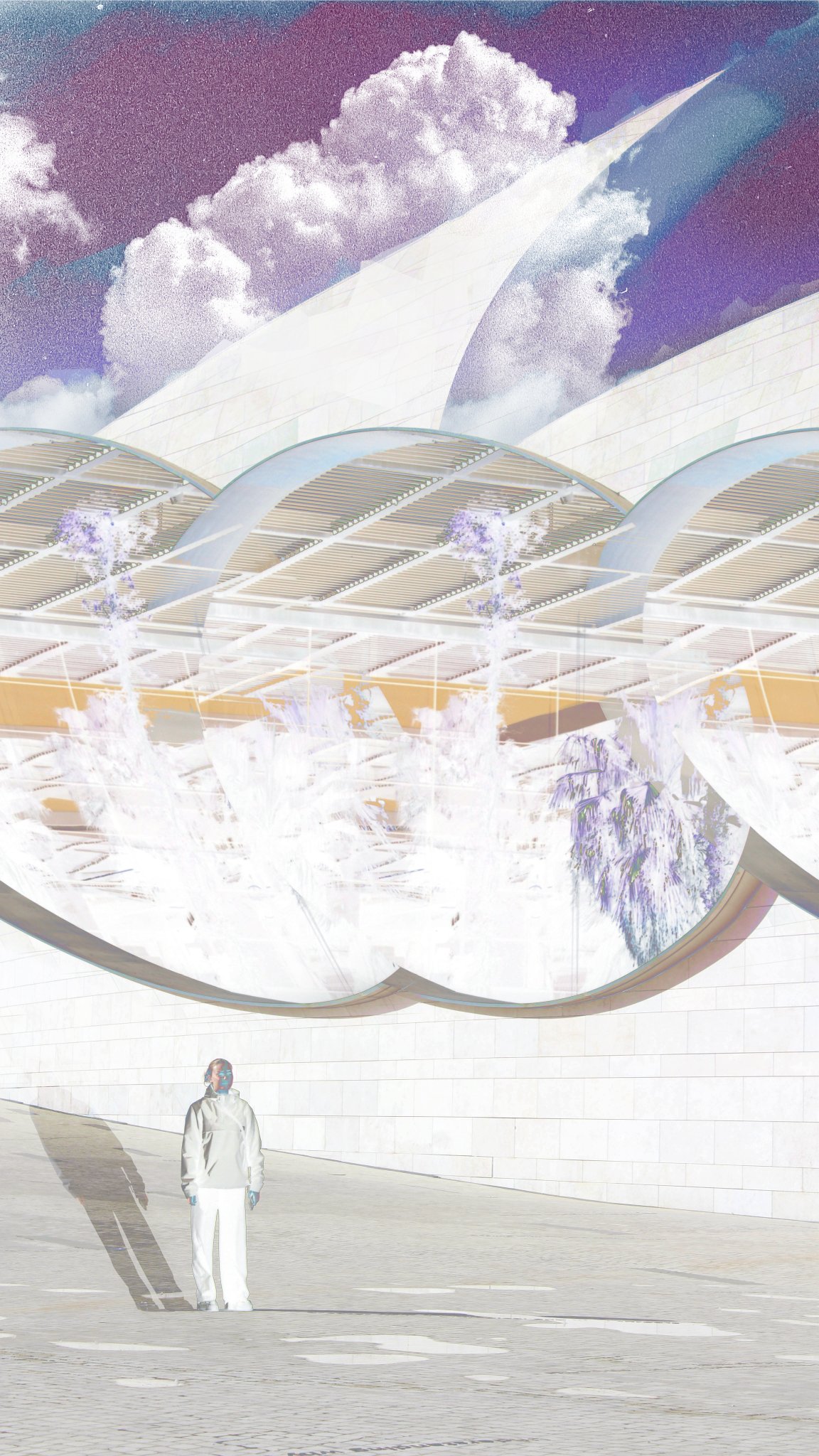 Cover for Path