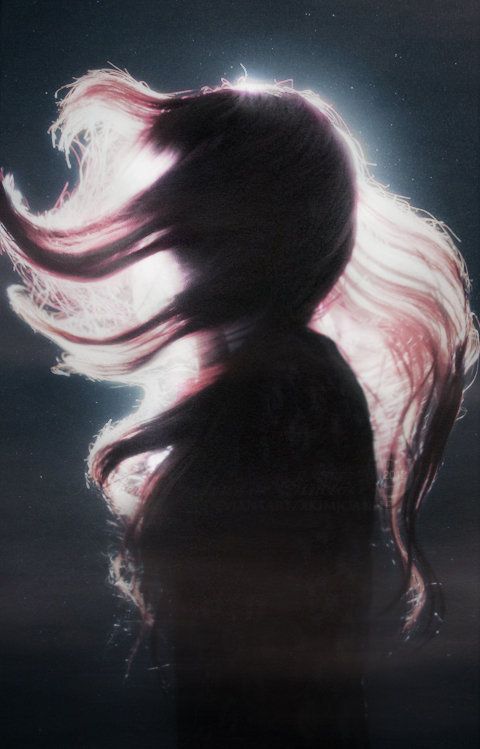 Cover for Spotlights